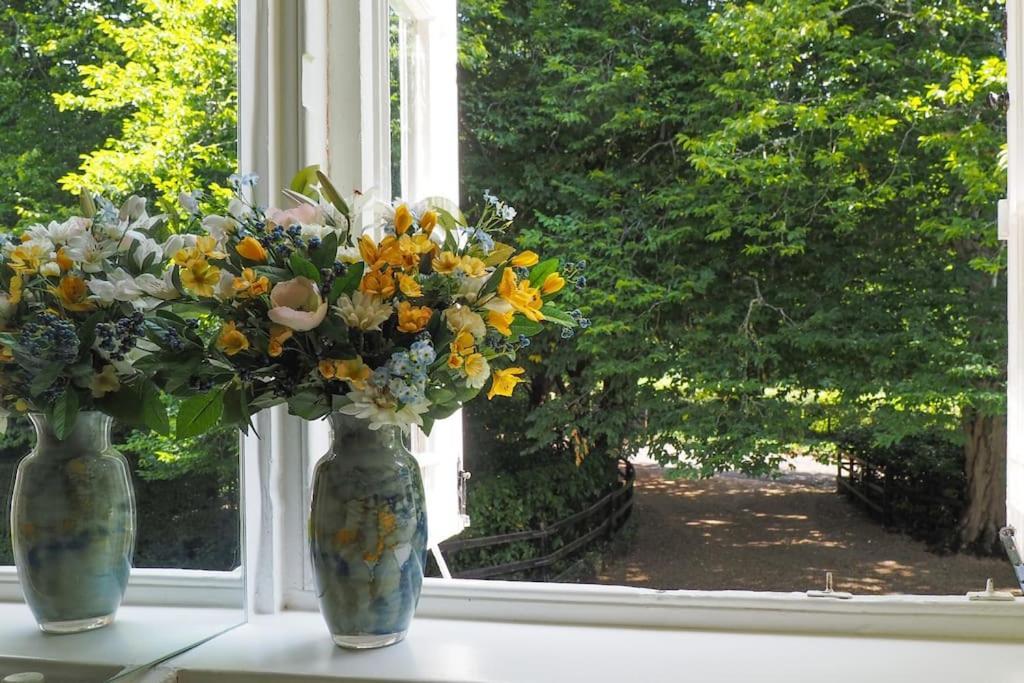 Landford'S Cottage, Your Retreat! エクステリア 写真