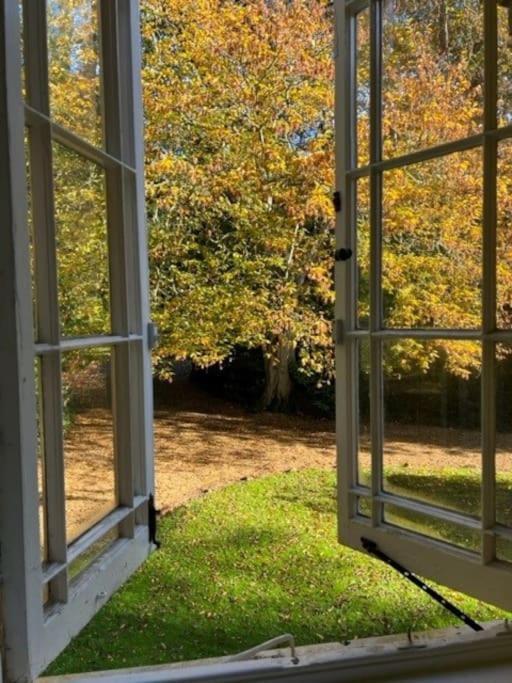 Landford'S Cottage, Your Retreat! エクステリア 写真
